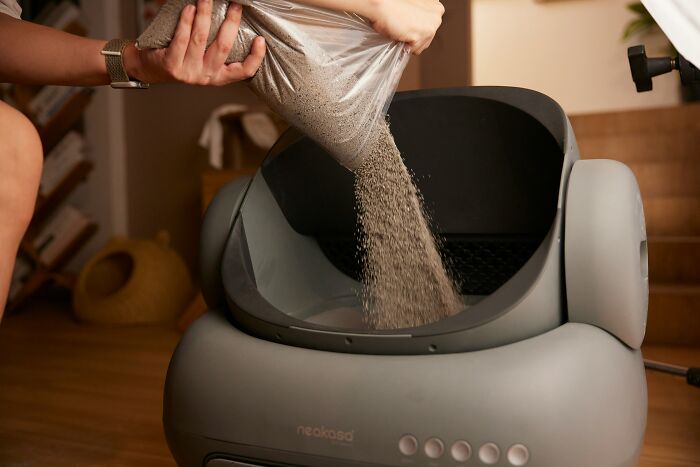 Person pouring cat litter into a modern gray automatic self-cleaning cat litter box at home.