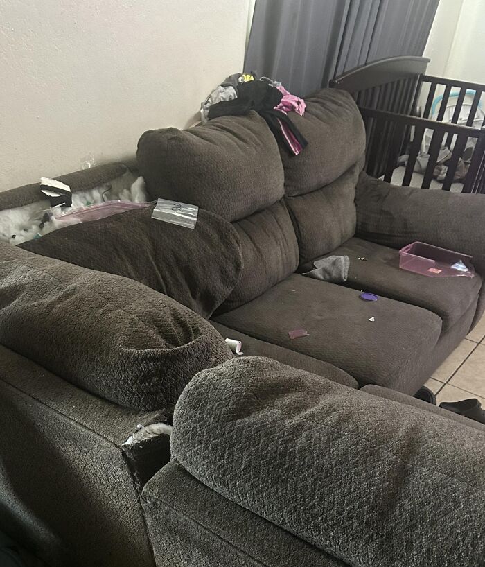 Worn-out and messy couch in a shared room, illustrating common roommate challenges from Reddit tales and solutions.