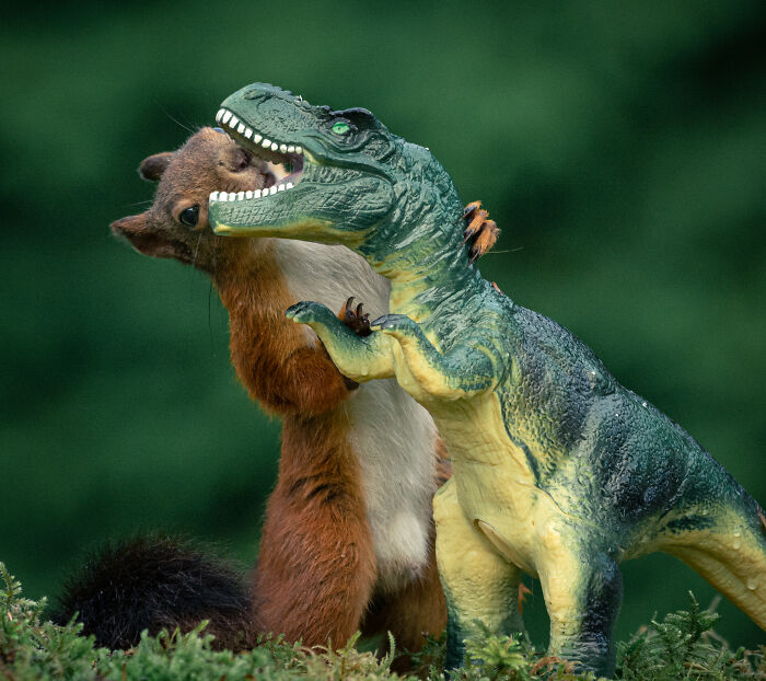 Squirrel playfully interacting with a dinosaur toy, one of the animals that didn’t mean to be funny but totally nailed it.