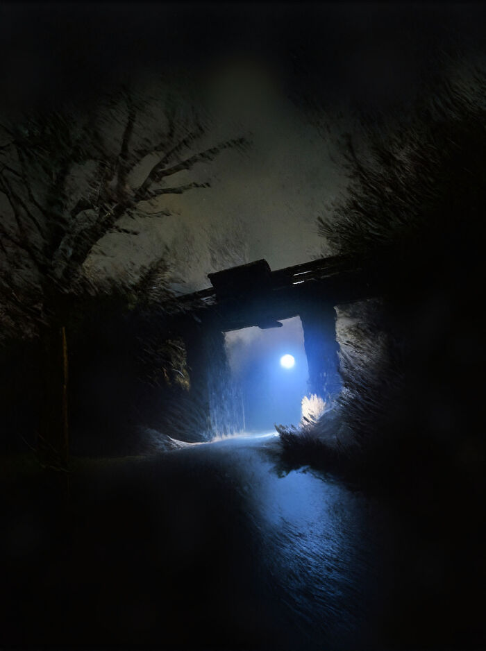 Single Female, Walking To Work For Overnight Shift,