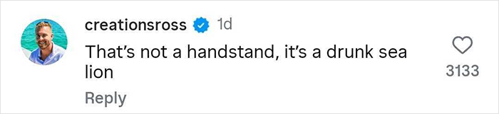 Comment from user creationsross comparing a passenger flipping over an infinity pool edge to a drunk sea lion on social media.