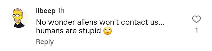 Screenshot of a social media comment reacting humorously to a passenger flipping over an infinity pool edge on a cruise.