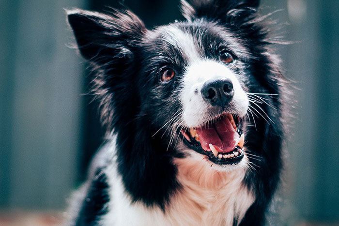 “He Invented Oxygen”: 50 Exact Moments People Knew They Were Dating An Idiot