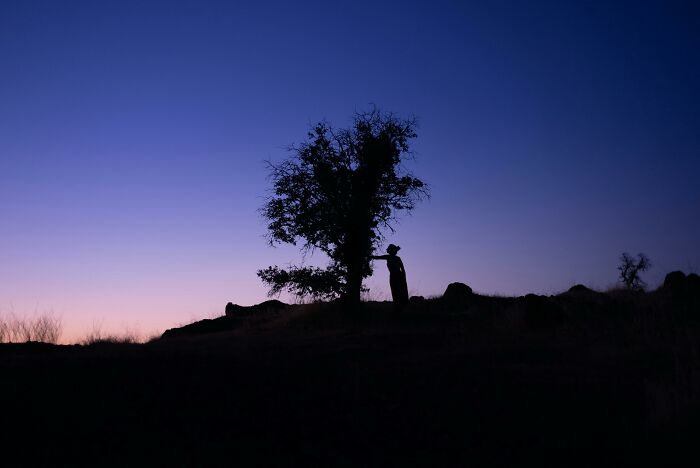 Silhouette of a person standing near a tree at dusk, evoking peaceful neighbor tales in the woods setting.