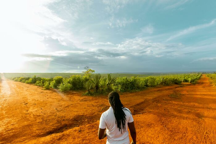 Person with long hair standing at a dirt crossroads under a vast sky, symbolizing history fans choosing which came first.