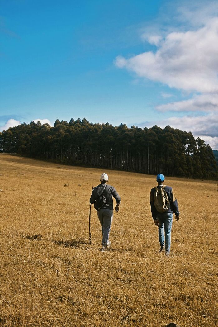 Two hikers walking across a dry grassy field toward a forest under a partly cloudy blue sky survival tips keywords