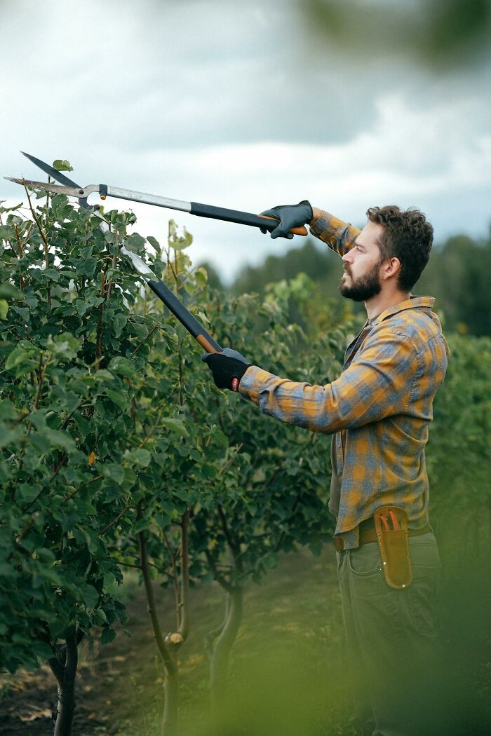 Man pruning plants outdoors with shears, illustrating jobs that help make 6 figures through skilled labor.