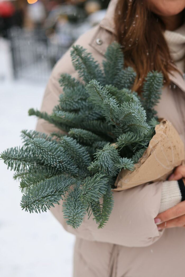 Person holding a bundle of evergreen branches outdoors in winter, illustrating survival tips in cold weather scenarios.