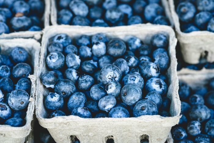 Close-up of blueberries in cartons highlighting the global food waste crisis and its trillion-dollar impact.