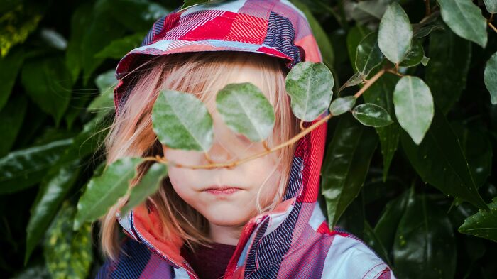 Child in a red plaid jacket blending into dense green leaves, capturing the essence of neighbor tales and woods living.