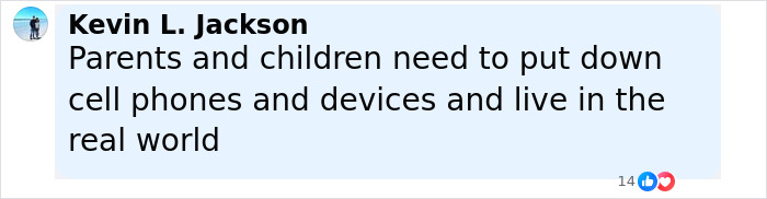 Comment by Kevin L. Jackson emphasizing the need for parents and children to live in the real world without devices, related to momfluencer controversy. - 5