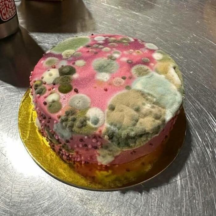 Moldy pink cake covered with multicolored fuzzy spots on a metal surface, showcasing chaotic trash and culture humor.