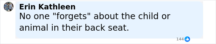Comment on social media post highlighting the tragic death of a 3-year-old boy in temporary foster care after being left in a hot car. - 12