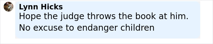 Comment from Lynn Hicks expressing hope for strict punishment due to endangering children in hot car rescue case. - 11