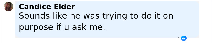 Facebook comment from Candice Elder expressing suspicion about someone's intentional actions in a serious situation involving police rescue. - 28