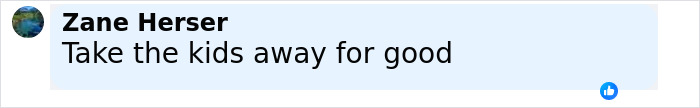 Comment text on social media post saying take the kids away for good related to police rescue 4 kids from hot car incident. - 29