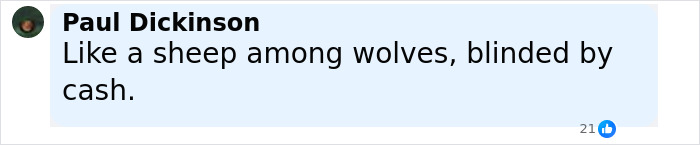 Comment on social media by Paul Dickinson about being blinded by cash, related to model's mom scalped and abandoned on Dubai roadside. - 14