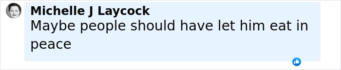 Screenshot of a social media comment by Michelle J Laycock reacting to Robert Irwin dining and dashing incident.