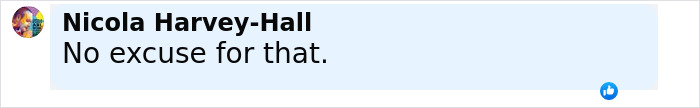 Comment from Nicola Harvey-Hall saying no excuse for that with a blue thumbs-up reaction icon visible.