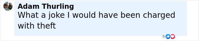 Comment by Adam Thurling criticizing dining and dashing incident involving Robert Irwin at an Australian restaurant.