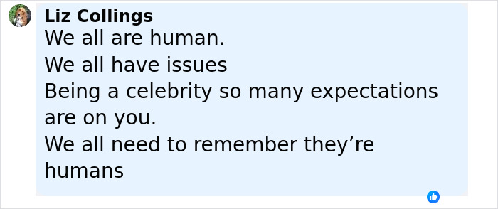 Comment by Liz Collings reflecting on humanity and celebrity pressures in a social media post about Anne Burrell. - 13