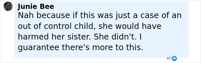Facebook comment discussing a 6-year-old girl finding parents&rsquo; bodies and warning her sister, unaware sister was shooter.