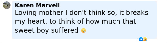 Comment expressing heartbreak over the suffering of a baby who passed away after being left in a car. Comment expressing heartbreak over the suffering of a baby who passed away after being left in a car.