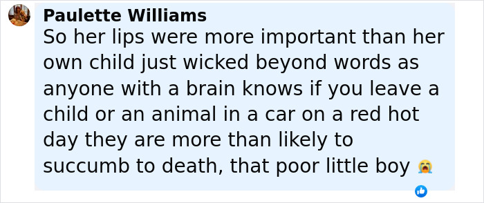 User comment expressing outrage over baby death after mom left him in car to get lip filler treatment. User comment expressing outrage over baby death after mom left him in car to get lip filler treatment.