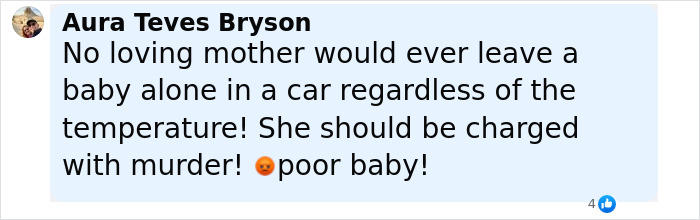 Comment expressing outrage over a baby passing away after being left alone in the car by the mother. Comment expressing outrage over a baby passing away after being left alone in the car by the mother.