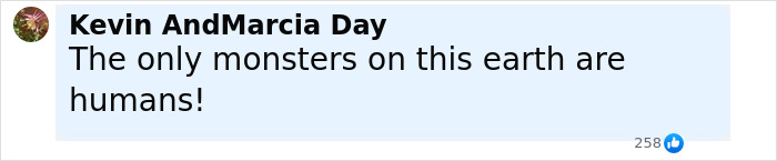 Comment with bold text saying the only monsters on this earth are humans with 258 reactions and a small profile picture.