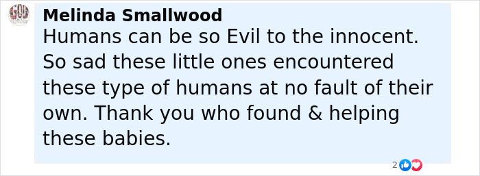 Comment expressing sadness about cruelty to puppies and gratitude to the maintenance guy who saved their lives.