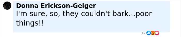 Comment by Donna Erickson-Geiger expressing sympathy for puppies that couldn't bark because their mouths were bound shut.