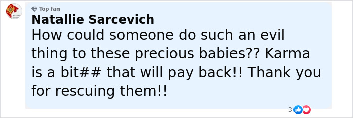 Comment expressing gratitude to a maintenance guy who saved two puppies with their mouths bound shut.
