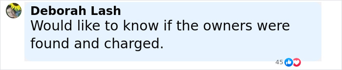 Comment from Deborah Lash asking if the owners of two puppies with mouths bound were found and charged