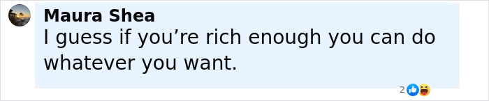 Comment on social media post expressing frustration about wealth and power dynamics after the family of babysitter fatally hit by Lufthansa CEO&rsquo;s wife is devastated.