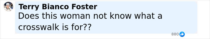 Comment by Terry Bianco Foster questioning awareness about crosswalk usage, related to family of babysitter fatally hit incident.