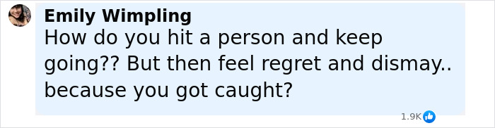 Comment expressing shock and regret about the family of babysitter fatally hit by wife of Lufthansa CEO.