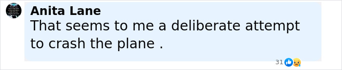 Screenshot of a social media comment discussing the cause of an Air India crash that claimed 260 lives.