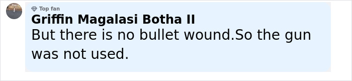 Comment by Griffin Magalasi Botha II claiming no bullet wound was found, questioning gun use in Prince William and Harry's cousin case.