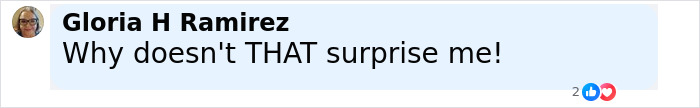 Comment from Gloria H Ramirez saying Why doesn't THAT surprise me with reaction icons visible below her text.