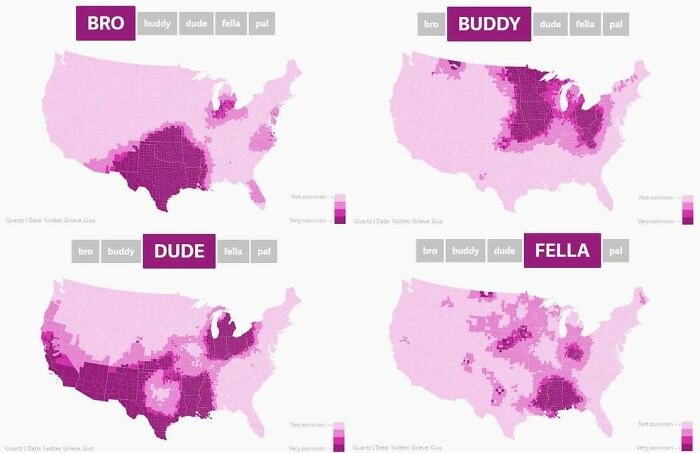 US heat maps showing regional popularity of slang terms bro, buddy, dude, and fella in an infographic about interesting data trends.