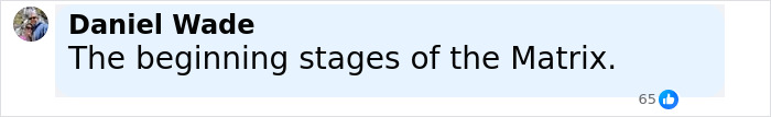 Screenshot of a social media comment by Daniel Wade stating The beginning stages of the Matrix with 65 likes.