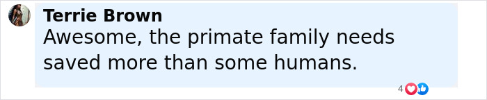 "That's Metal ASF": Ozzy Osbourne Teams Up With Chimps To Create Abstract Art For A Noble Cause