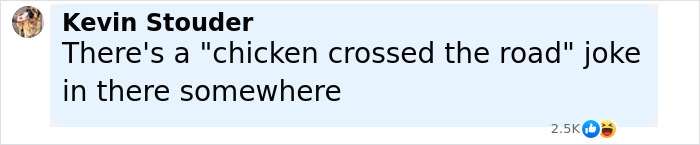 Comment about a chicken crossing the road joke, referencing Florida woman attacking driver over chicken incident. - 23