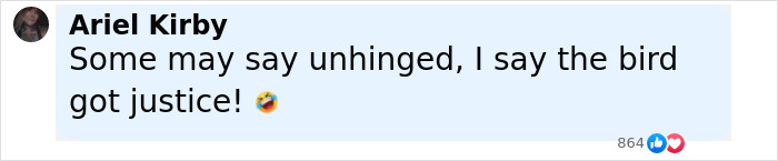 Comment on social media about Florida woman attacking driver after chicken is run over, saying the bird got justice. - 13