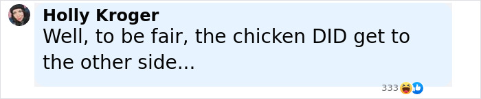 Screenshot of a social media comment humorously referencing a chicken crossing the road in a viral Florida woman incident. - 8