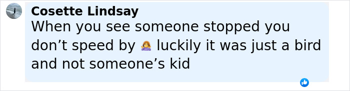 Comment by Cosette Lindsay reacting to a driver stopping for a bird instead of speeding past in a social media post. - 27