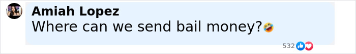 Comment by Amiah Lopez asking where to send bail money, with laughing emoji and 532 reactions. - 14