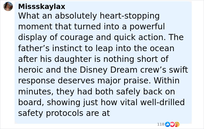 Eyewitnesses reveal the truth behind girl's horrifying fall from Disney cruise ship and the resulting blame game.