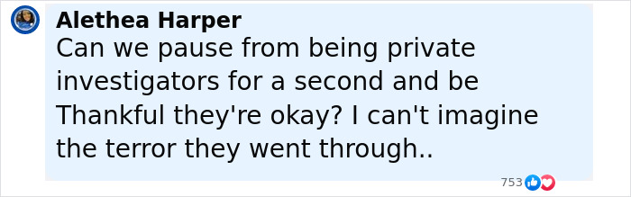 Comment from Alethea Harper expressing relief that the dad and daughter who fell off cruise ship are okay amid viral rumor.